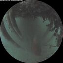 ./images/calvert/underwater/20260626/underwater20260626_221501M.jpg