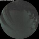 ./images/calvert/underwater/20260626/underwater20260626_222002M.jpg