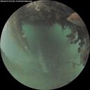 ./images/calvert/underwater/20260627/underwater20260627_051501M.jpg