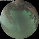 ./images/calvert/underwater/20260627/underwater20260627_052002M.jpg