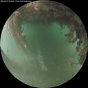 ./images/calvert/underwater/20260627/underwater20260627_052501M.jpg