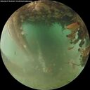 ./images/calvert/underwater/20260627/underwater20260627_054501M.jpg