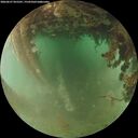 ./images/calvert/underwater/20260627/underwater20260627_055501M.jpg