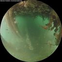 ./images/calvert/underwater/20260627/underwater20260627_060001M.jpg