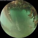 ./images/calvert/underwater/20260627/underwater20260627_060501M.jpg