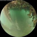 ./images/calvert/underwater/20260627/underwater20260627_061001M.jpg