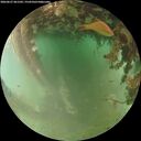 ./images/calvert/underwater/20260627/underwater20260627_061502M.jpg