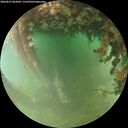 ./images/calvert/underwater/20260627/underwater20260627_062002M.jpg
