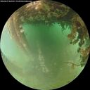 ./images/calvert/underwater/20260627/underwater20260627_062501M.jpg