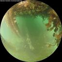 ./images/calvert/underwater/20260627/underwater20260627_063002M.jpg