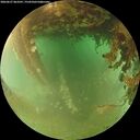 ./images/calvert/underwater/20260627/underwater20260627_063501M.jpg