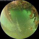 ./images/calvert/underwater/20260627/underwater20260627_064501M.jpg