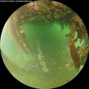 ./images/calvert/underwater/20260627/underwater20260627_065001M.jpg