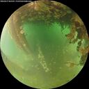 ./images/calvert/underwater/20260627/underwater20260627_065501M.jpg