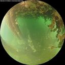./images/calvert/underwater/20260627/underwater20260627_070002M.jpg