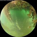 ./images/calvert/underwater/20260627/underwater20260627_070501M.jpg