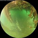 ./images/calvert/underwater/20260627/underwater20260627_071001M.jpg