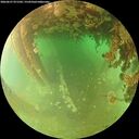 ./images/calvert/underwater/20260627/underwater20260627_071501M.jpg