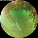 ./images/calvert/underwater/20260627/underwater20260627_072002M.jpg