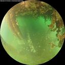 ./images/calvert/underwater/20260627/underwater20260627_072501M.jpg