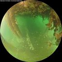 ./images/calvert/underwater/20260627/underwater20260627_073001M.jpg
