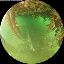 ./images/calvert/underwater/20260627/underwater20260627_074501M.jpg