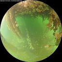 ./images/calvert/underwater/20260627/underwater20260627_075501M.jpg