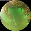 ./images/calvert/underwater/20260627/underwater20260627_081502M.jpg