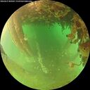 ./images/calvert/underwater/20260627/underwater20260627_083001M.jpg