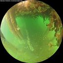 ./images/calvert/underwater/20260627/underwater20260627_084501M.jpg