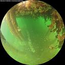 ./images/calvert/underwater/20260627/underwater20260627_085001M.jpg