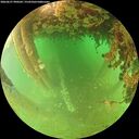 ./images/calvert/underwater/20260627/underwater20260627_090502M.jpg