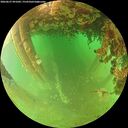 ./images/calvert/underwater/20260627/underwater20260627_091001M.jpg