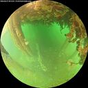 ./images/calvert/underwater/20260627/underwater20260627_091501M.jpg