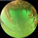 ./images/calvert/underwater/20260627/underwater20260627_092001M.jpg