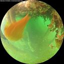 ./images/calvert/underwater/20260627/underwater20260627_093001M.jpg