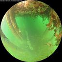 ./images/calvert/underwater/20260627/underwater20260627_093501M.jpg
