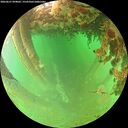 ./images/calvert/underwater/20260627/underwater20260627_094001M.jpg