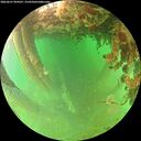 ./images/calvert/underwater/20260627/underwater20260627_094501M.jpg