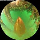 ./images/calvert/underwater/20260627/underwater20260627_095001M.jpg