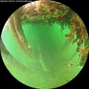 ./images/calvert/underwater/20260627/underwater20260627_095501M.jpg