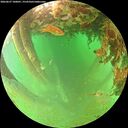 ./images/calvert/underwater/20260627/underwater20260627_100001M.jpg
