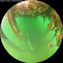 ./images/calvert/underwater/20260627/underwater20260627_101001M.jpg