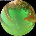 ./images/calvert/underwater/20260627/underwater20260627_101501M.jpg