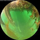 ./images/calvert/underwater/20260627/underwater20260627_102001M.jpg