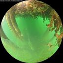 ./images/calvert/underwater/20260627/underwater20260627_103001M.jpg