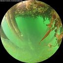 ./images/calvert/underwater/20260627/underwater20260627_103501M.jpg