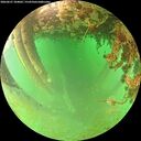 ./images/calvert/underwater/20260627/underwater20260627_104002M.jpg