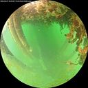 ./images/calvert/underwater/20260627/underwater20260627_104501M.jpg
