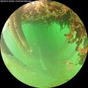 ./images/calvert/underwater/20260627/underwater20260627_105001M.jpg